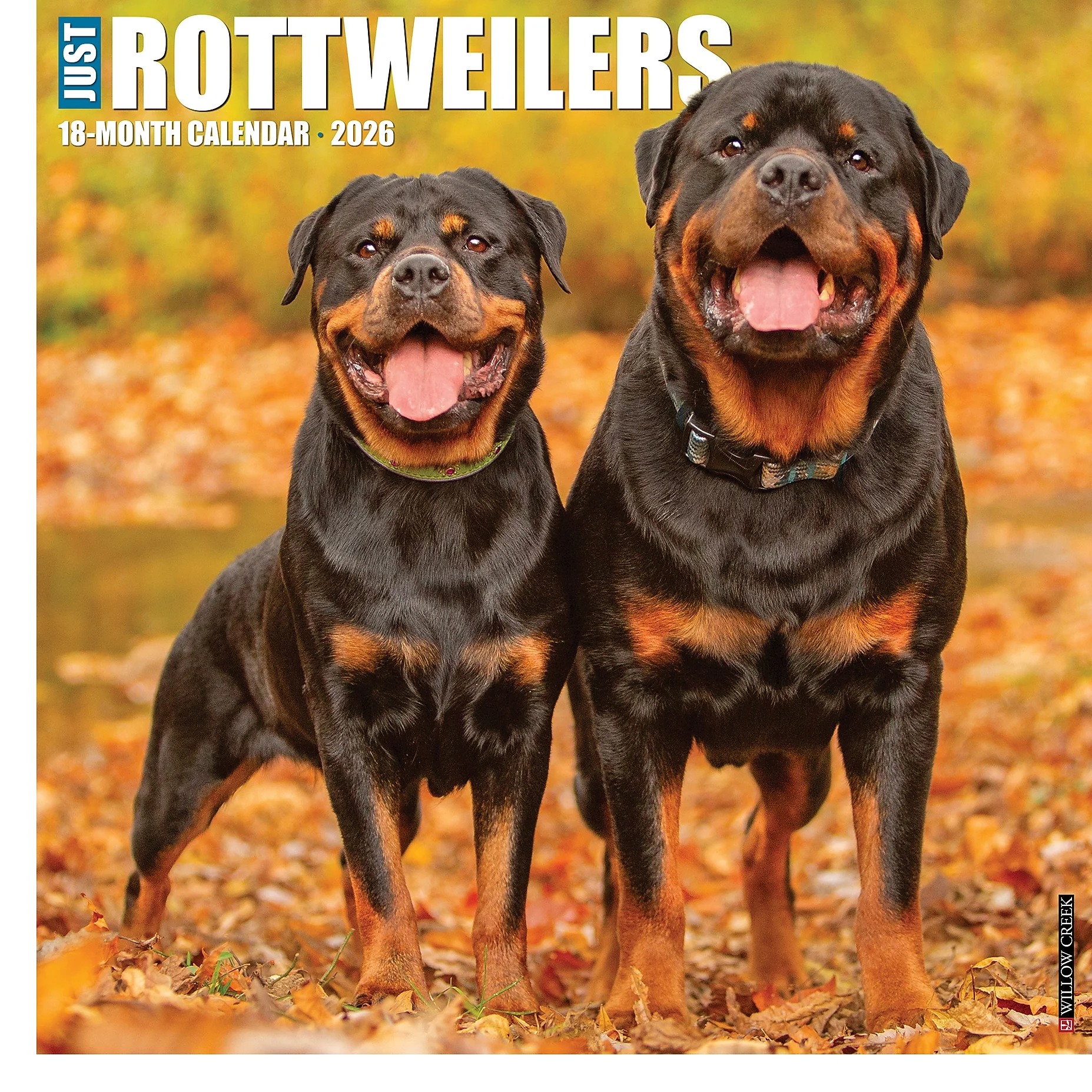 2026 Willow Creek Rottweilers 12" X 12" Monthly Wall Calendar (52617)