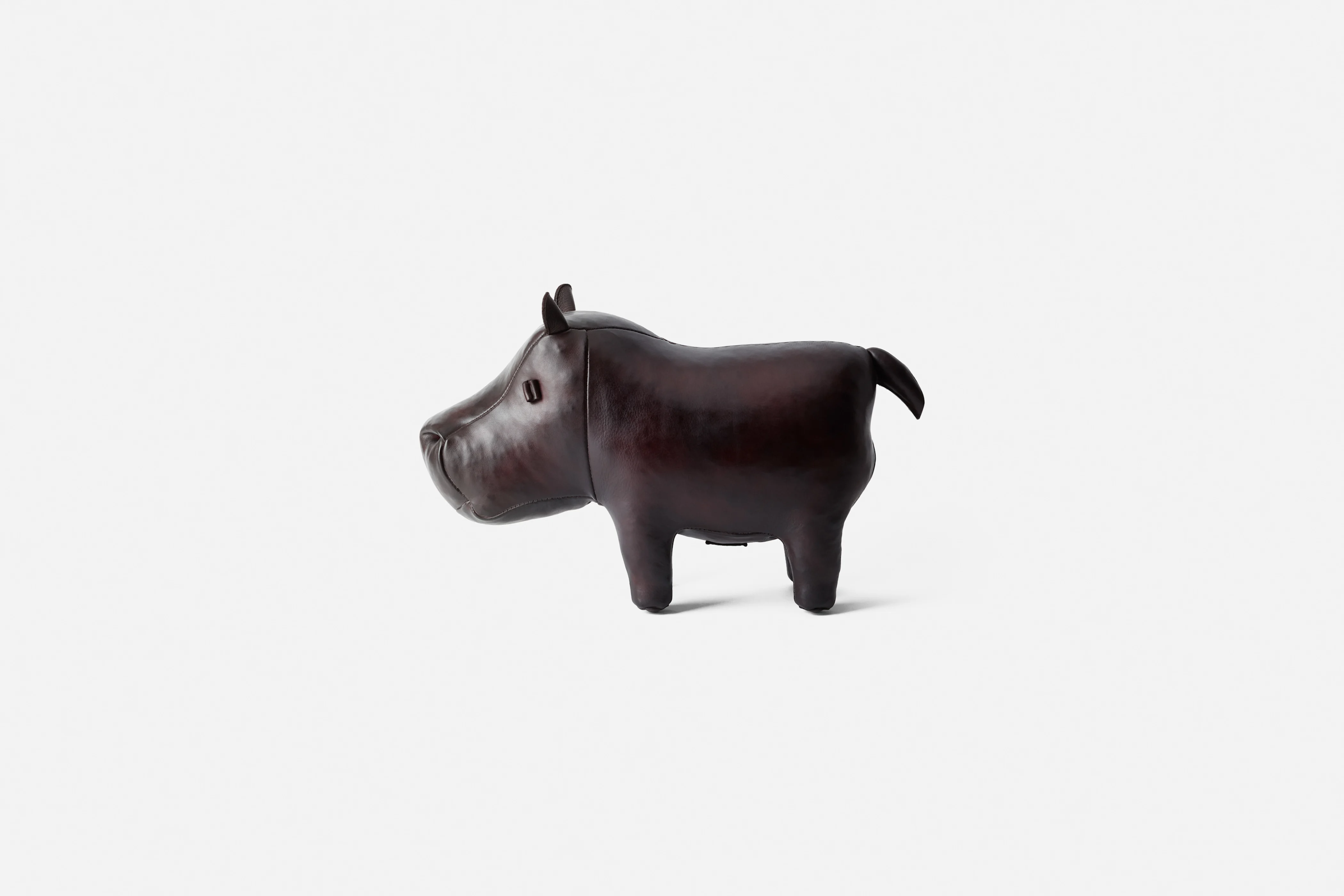 Hippopotamus