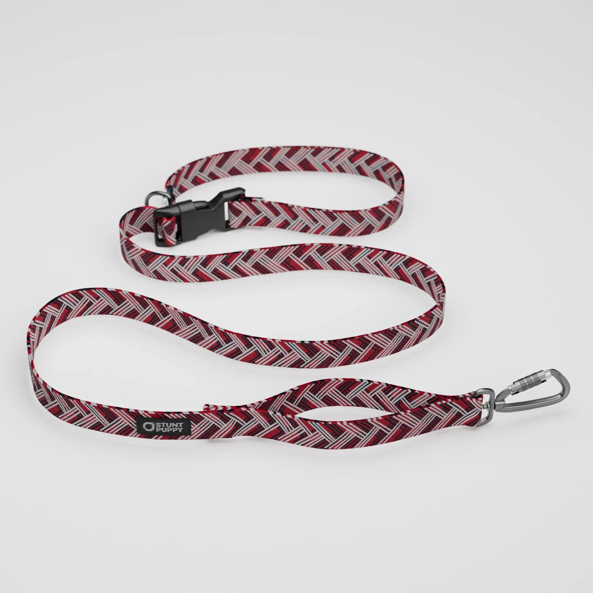 Houston Tex-hounds Everyday Leash™
