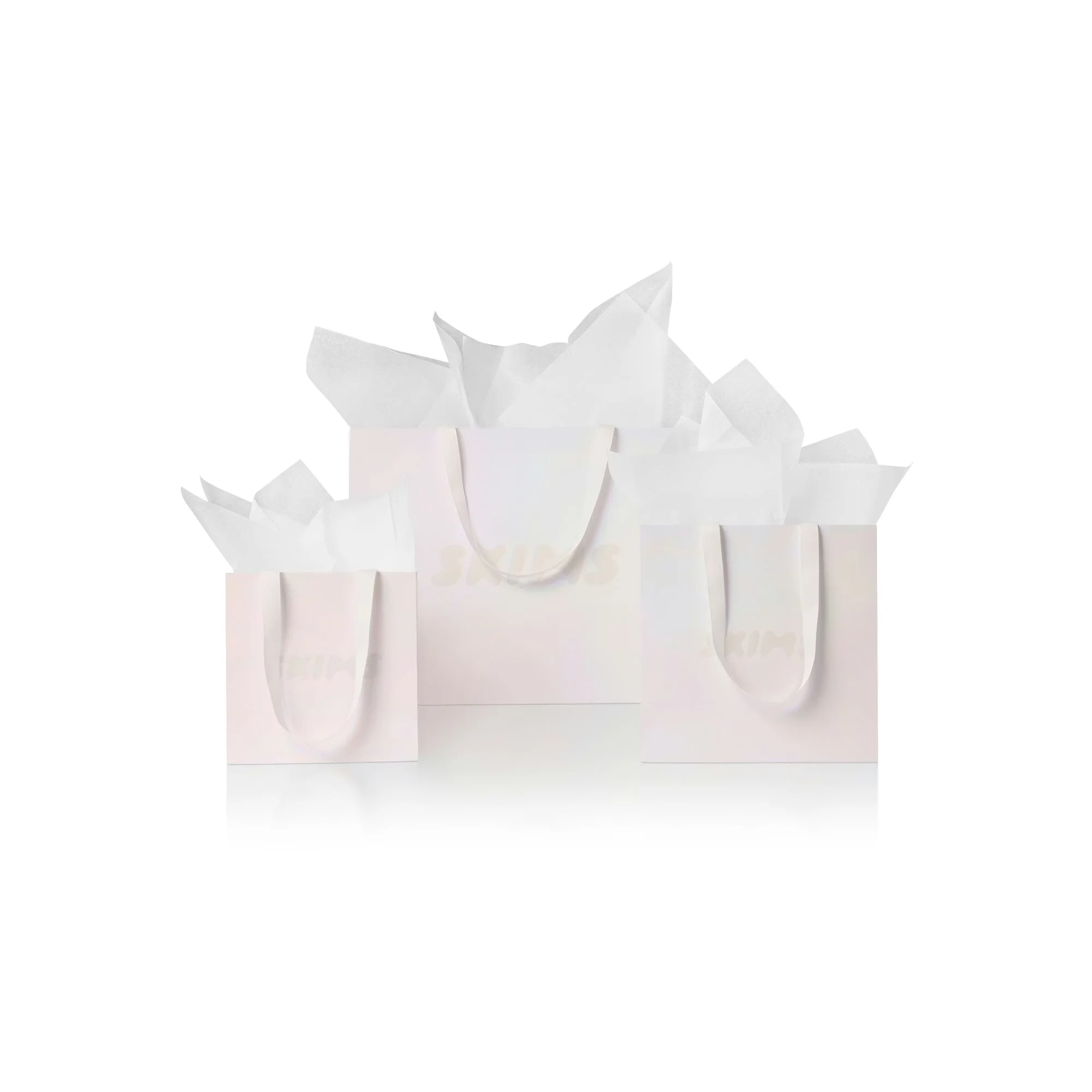 Gift Bag Holographic Snow