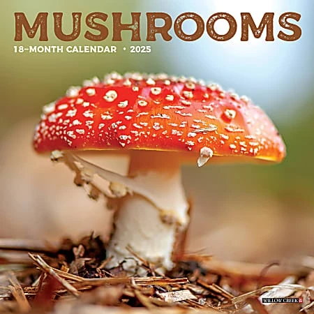 2025 Willow Creek Press Mini Wall Calendar, 7” X 7”, Mushrooms, January 2025 To December 2025, 45855