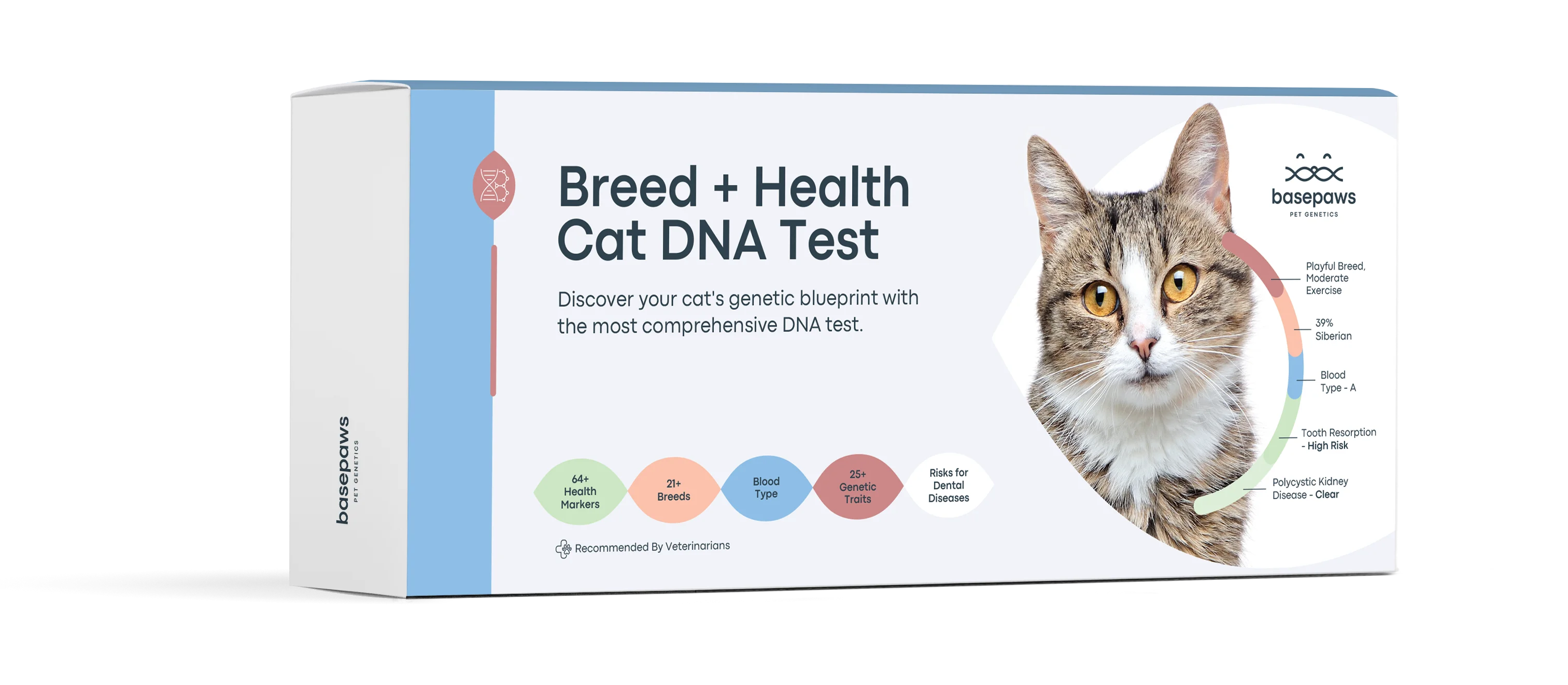 Basepaws Cat Dna Test | Breed, Health, Dental Diseases And Traits Reports