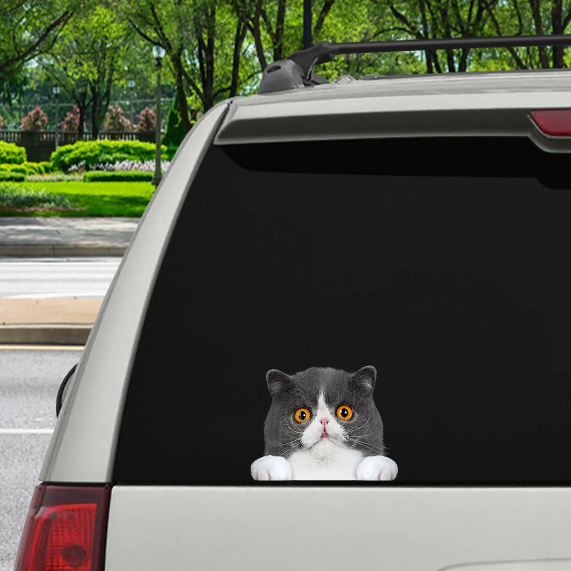 Can You See Me Now - Exotic Cat Car/ Door/ Fridge/ Laptop Sticker V1 - 15" X 11.8" (38 X 30 Cm)/premium Dual-sided Sticker