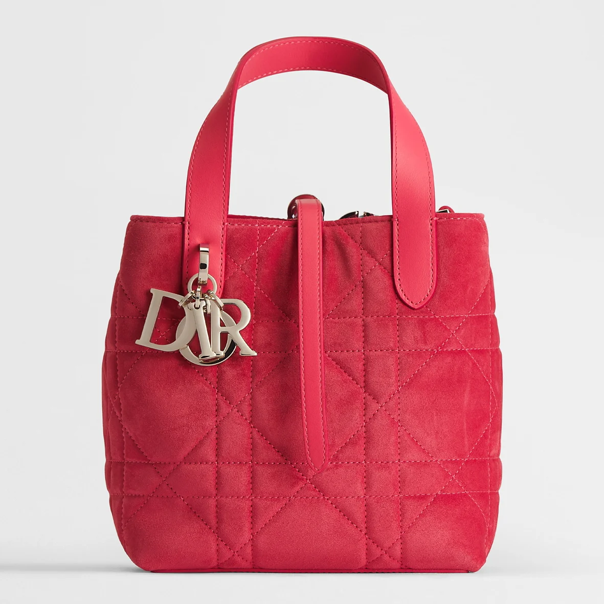 Small Dior Toujours Vertical Tote Bag