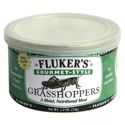 Fluker's Gourmet Style Grasshoppers