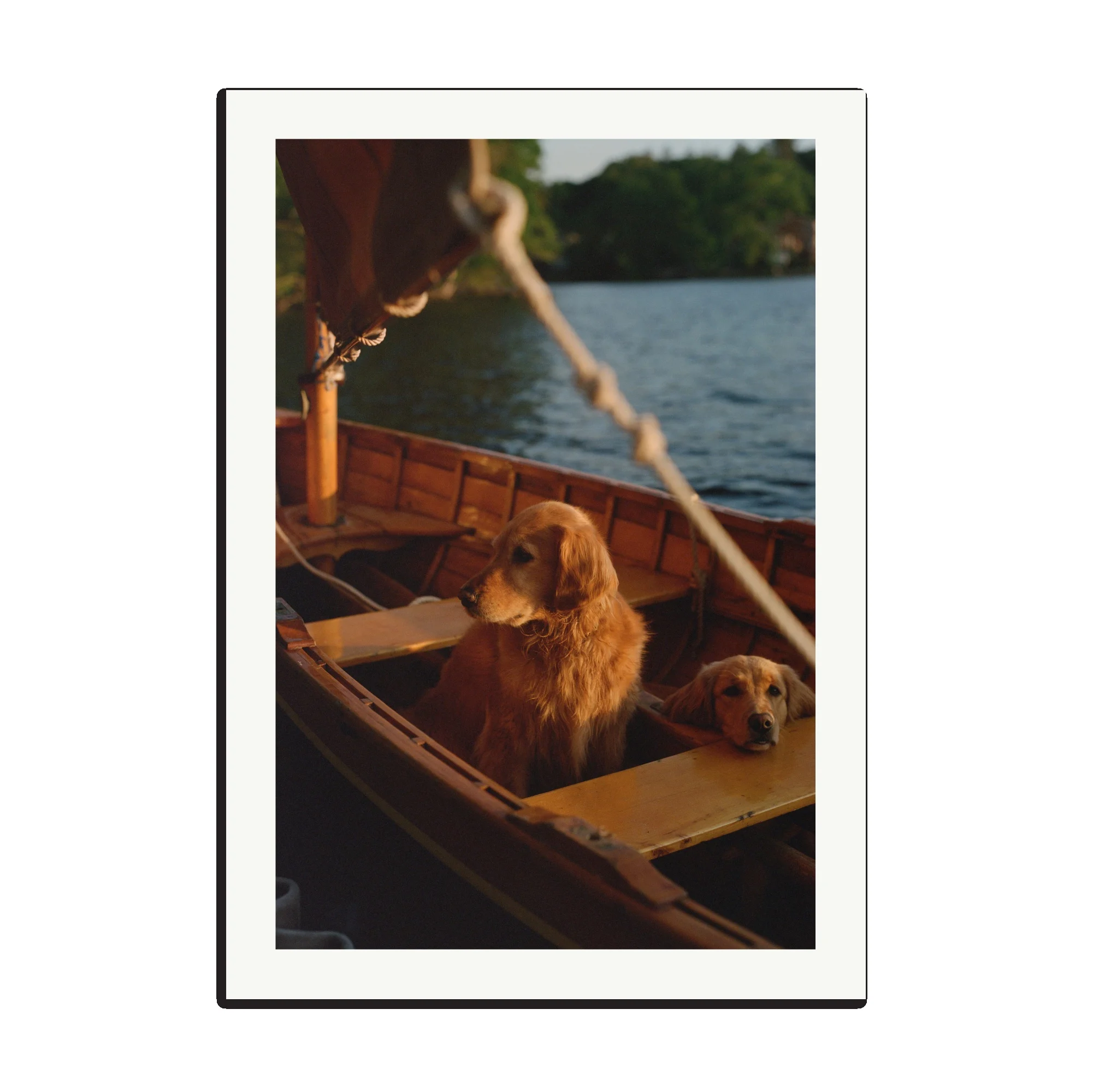 Summer Camp - Print Only/xxl