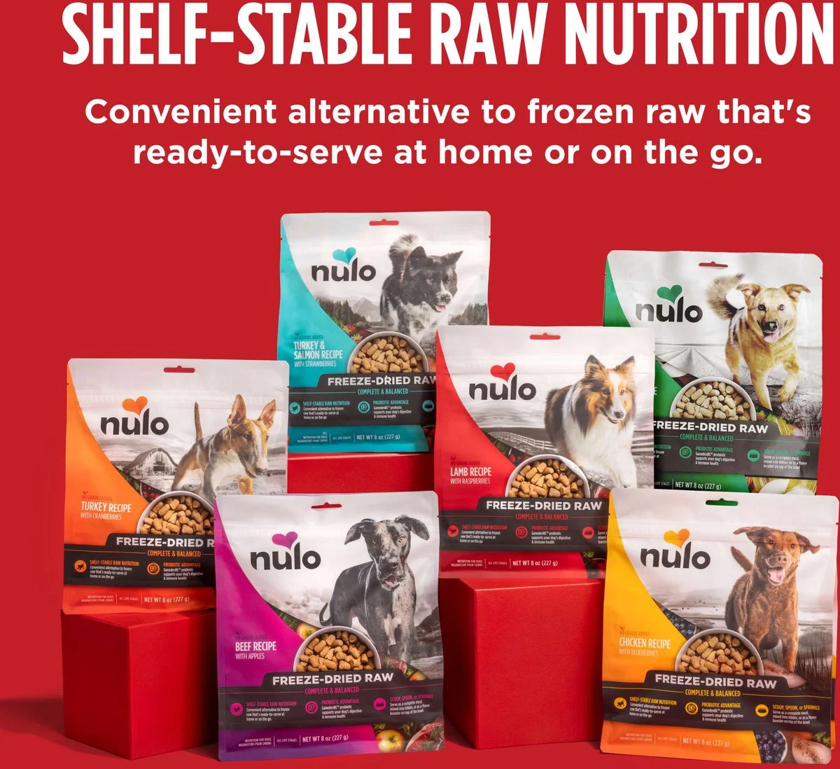 Salmon & Turkey Recipe With Strawberries Grain-free Freeze-dried Raw Dog Food