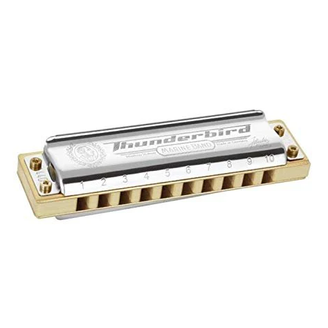 Hohner Thunderbird Harmonica - Double Low F, Stainless Steel (m2011bxl-lf)