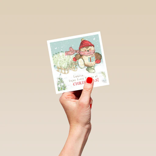 Personalised Cute Christmas Country Companions Hedgehog Card