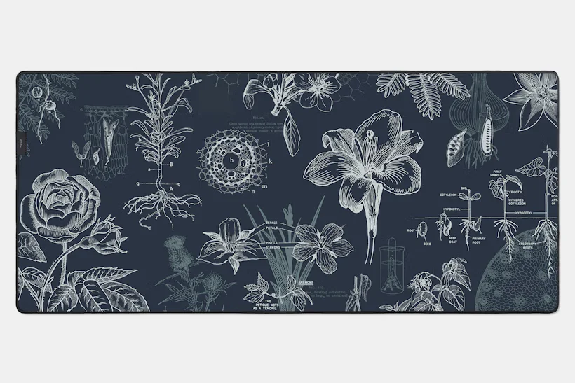 Drop + Atoms To Astronauts Desk Mats - Computer Science