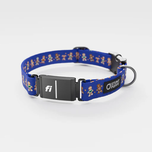 Fi-ready Gingerbread Blue Everyday Collar - No/yes +$5