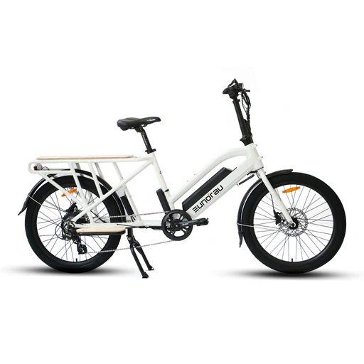 Max-cargo Electric Bicycle