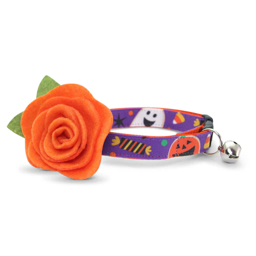 Cat Collar + Flower Set - Witch's Brew