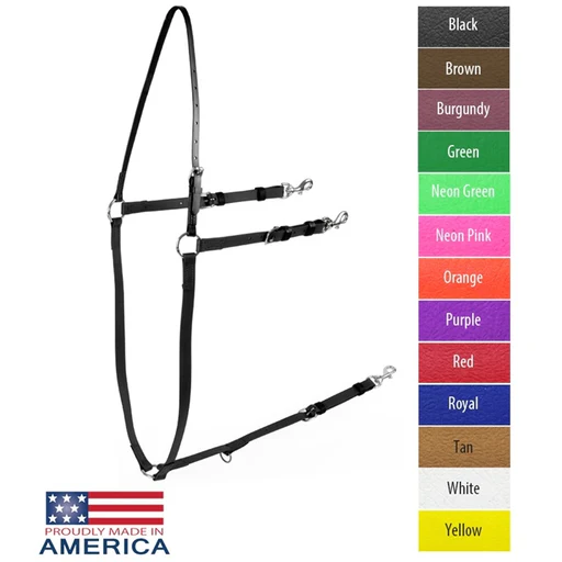 Feather-weight Beta Buxton Martingale - Royal