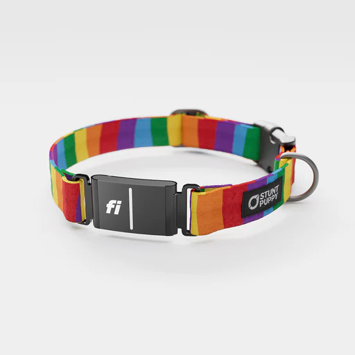 Fi Gps Included Rainbow Everyday Collar (6 Month Subscription)