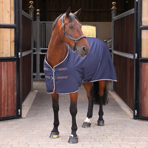 Shires Tempest Original Stable Sheet - Ink/5'0