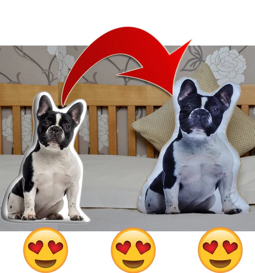 Custom 3d Frenchie Pillow - 50cm