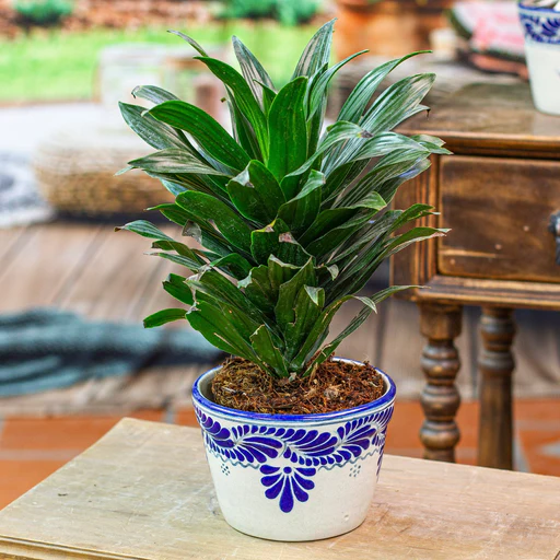 Talavera-style Ceramic Planter With Leaf And Flower Motifs - Puebla Bloom - Default Title (member)