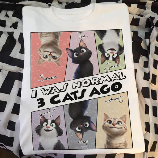 I Was Normal 3 Cats Ago - Personalized Shirt - Women Tee/white/s