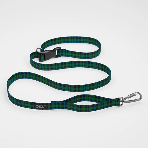 Lumberpup Scotsman Everyday Leash