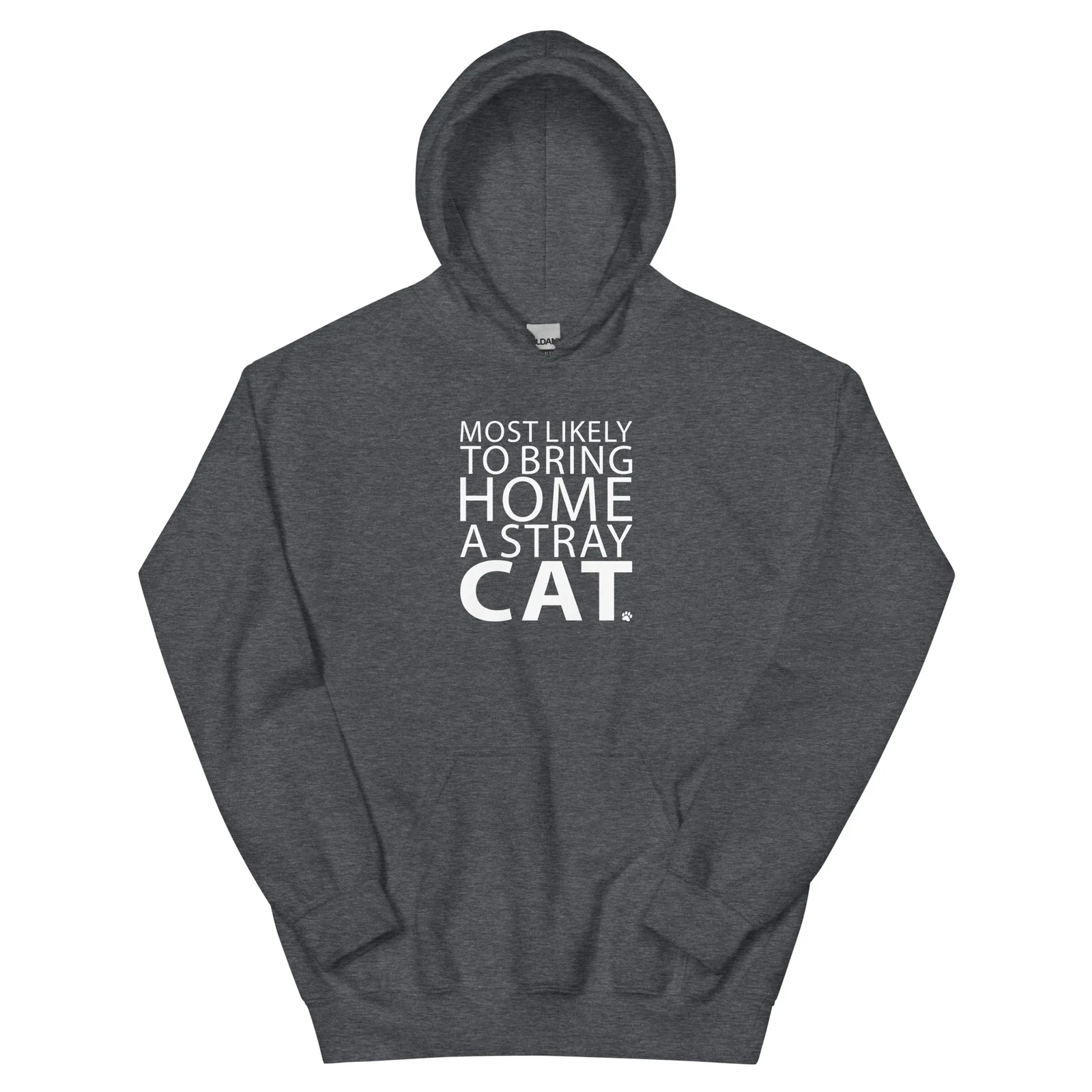 Most Likely To Bring Home A Stray Cat Hoodie - Dark Heather/l