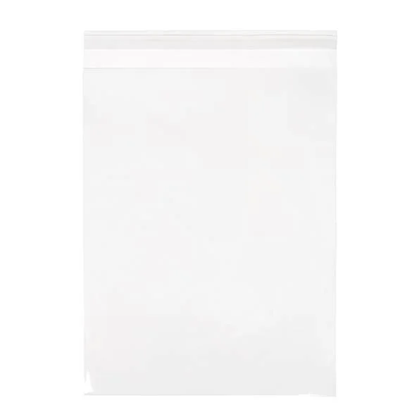 Crystal Clear Bags® With Flap 9 7/16" X 12 1/4" 100 Pack B9