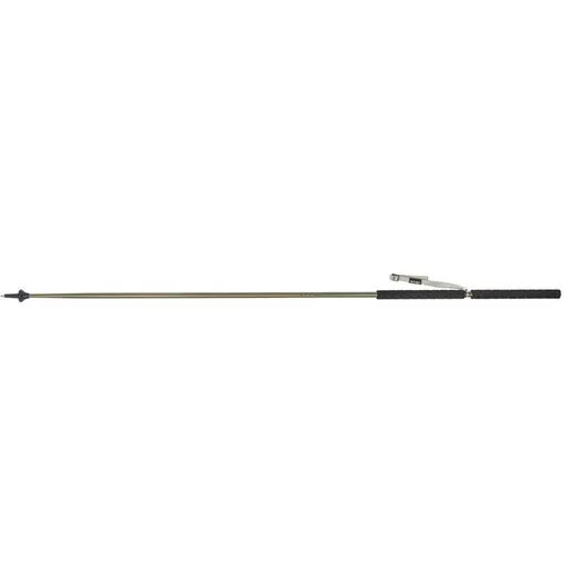 Kelty Strider Trekking Pole