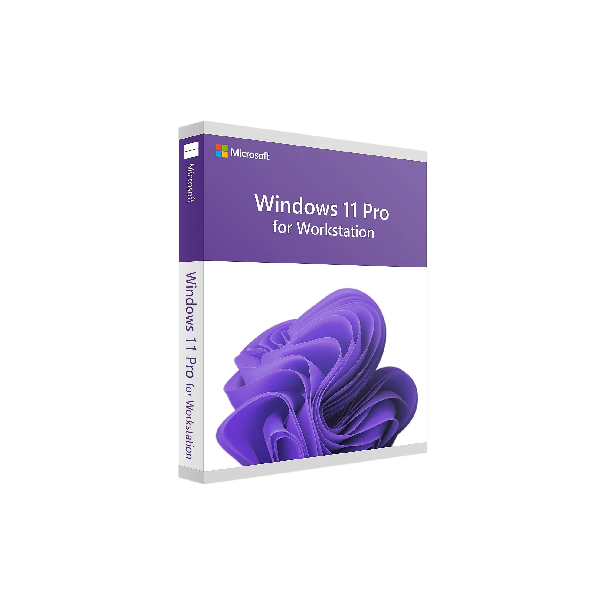 Microsoft Windows 11 Pro 64-bit License, For Workstations (hzv-00102)