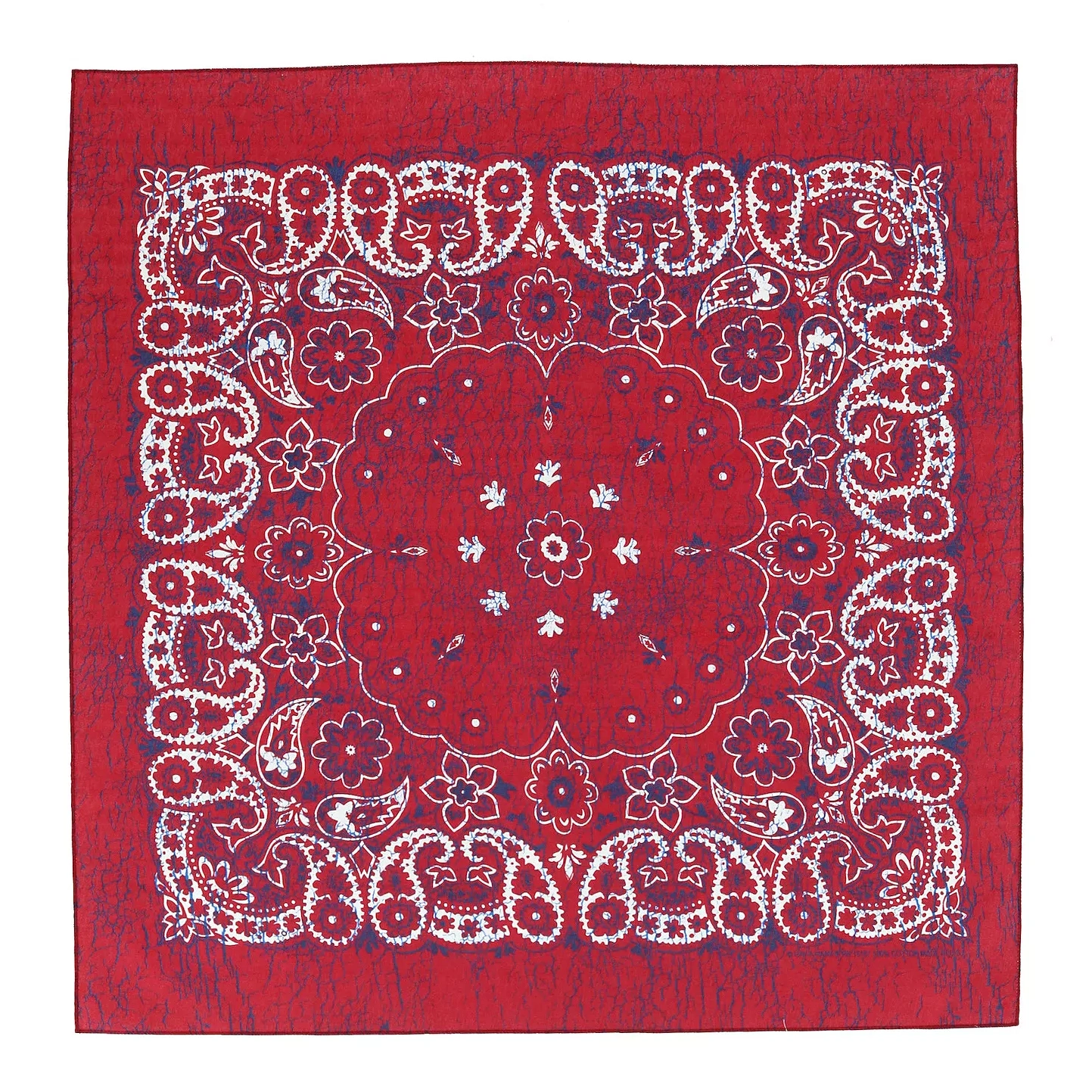 Extra Large 27 Inch Rustic Paisley Print Bandana