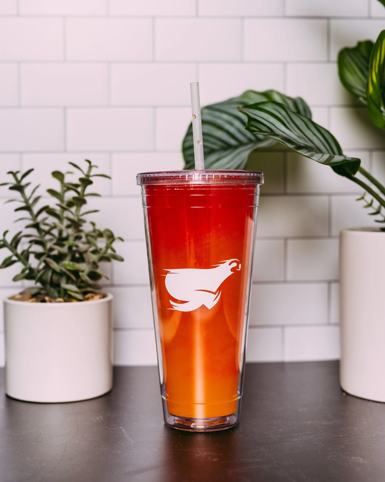 Son Of A Beach - 200 Mg - Energy Drink + / Yes +$1