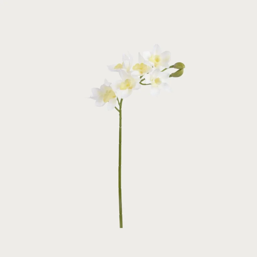 27" Real Touch Creamy White Real Touch Cymbidium Orchid Stem