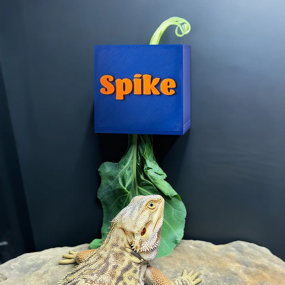 Gepersonaliseerde 3d-geprinte Handige Hygiënische Reptile Leaf Feeder Box Met Naam Reptile Habitat Voor Hagedis Reptile Eigenaars - Callie