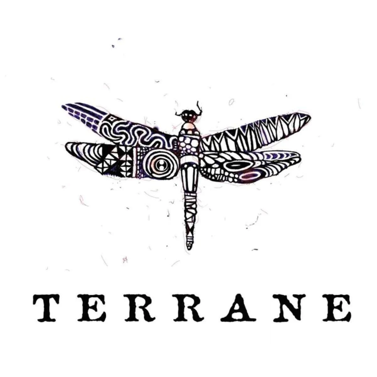 Harrington Terrane Thompson Vineyard Pinot Noir 2012 | Wine.com