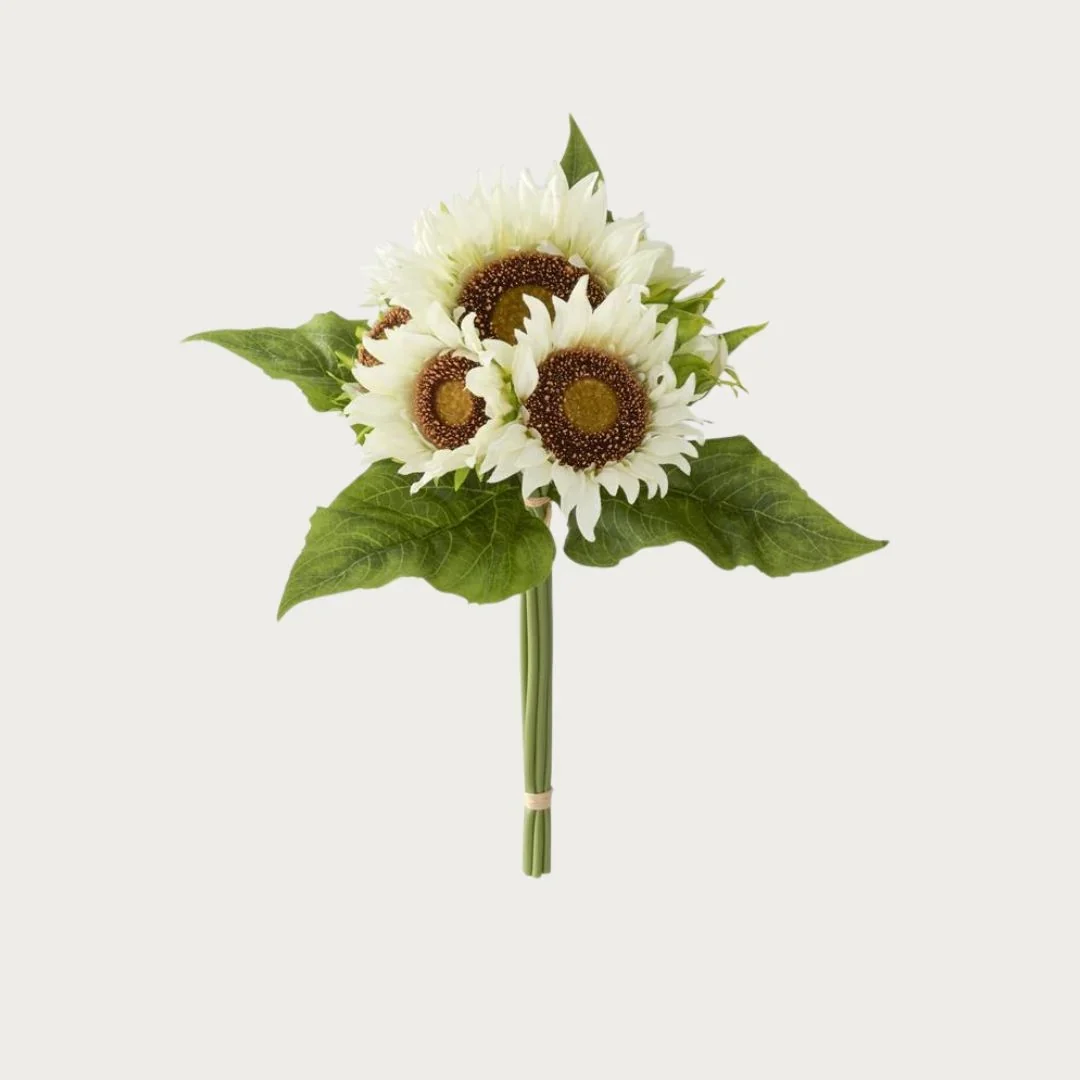 14 Inch Creamy White Sunflower Bundle (5 Stems)