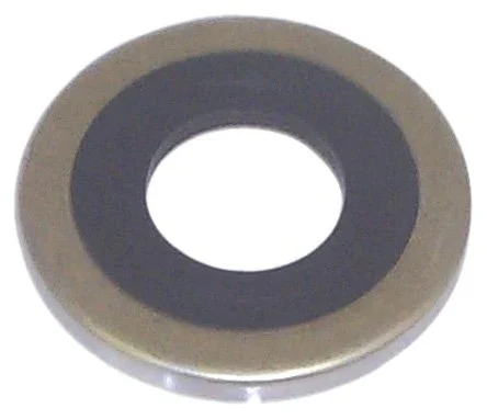 Sierra Oil Seal Mc26-88416 18-2094 | S2