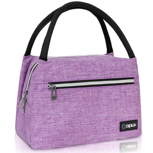 Women's Tote Purse Lunch Bag - 11 Cans