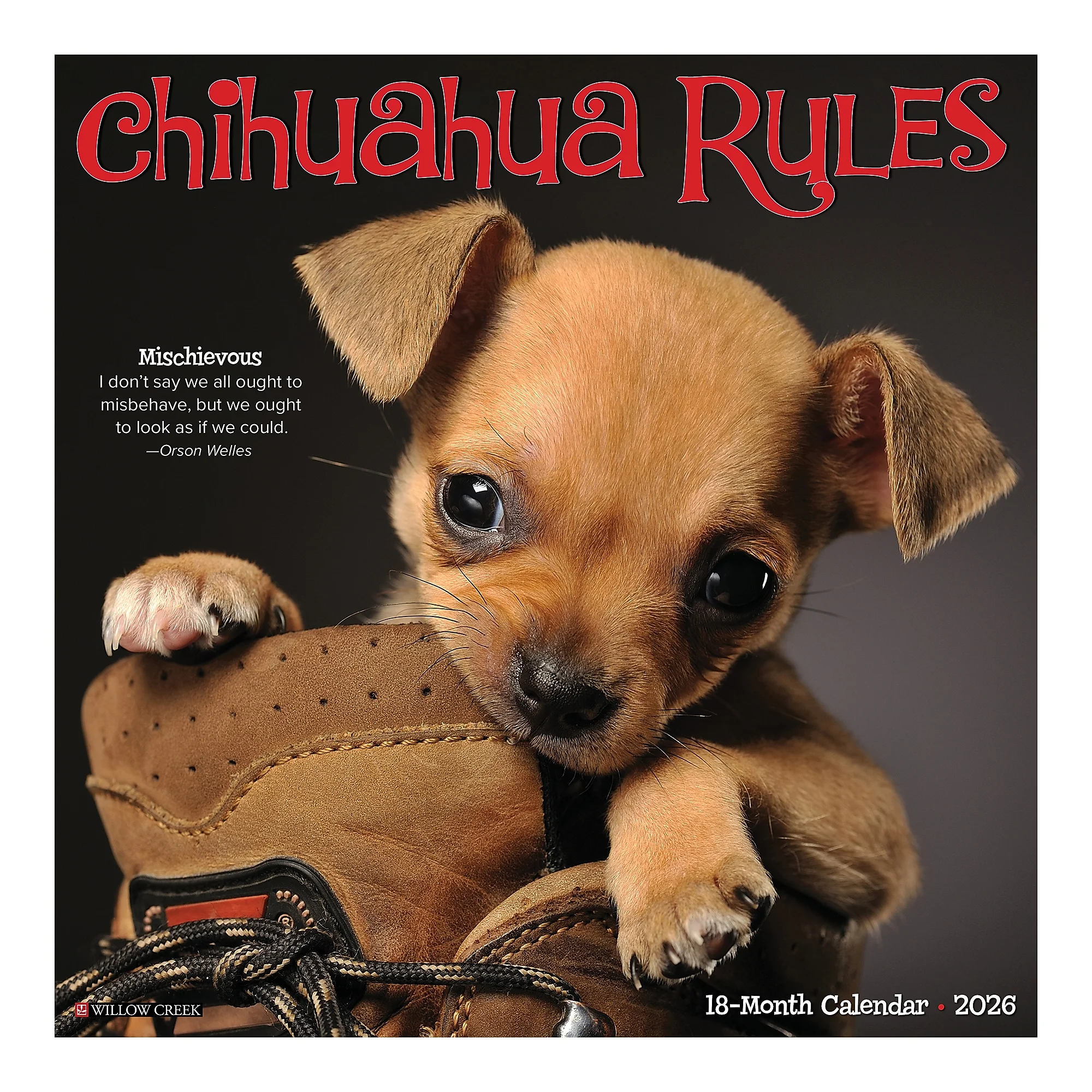 2026 Willow Creek Chihuahua Rules 12" X 12" Monthly Wall Calendar
