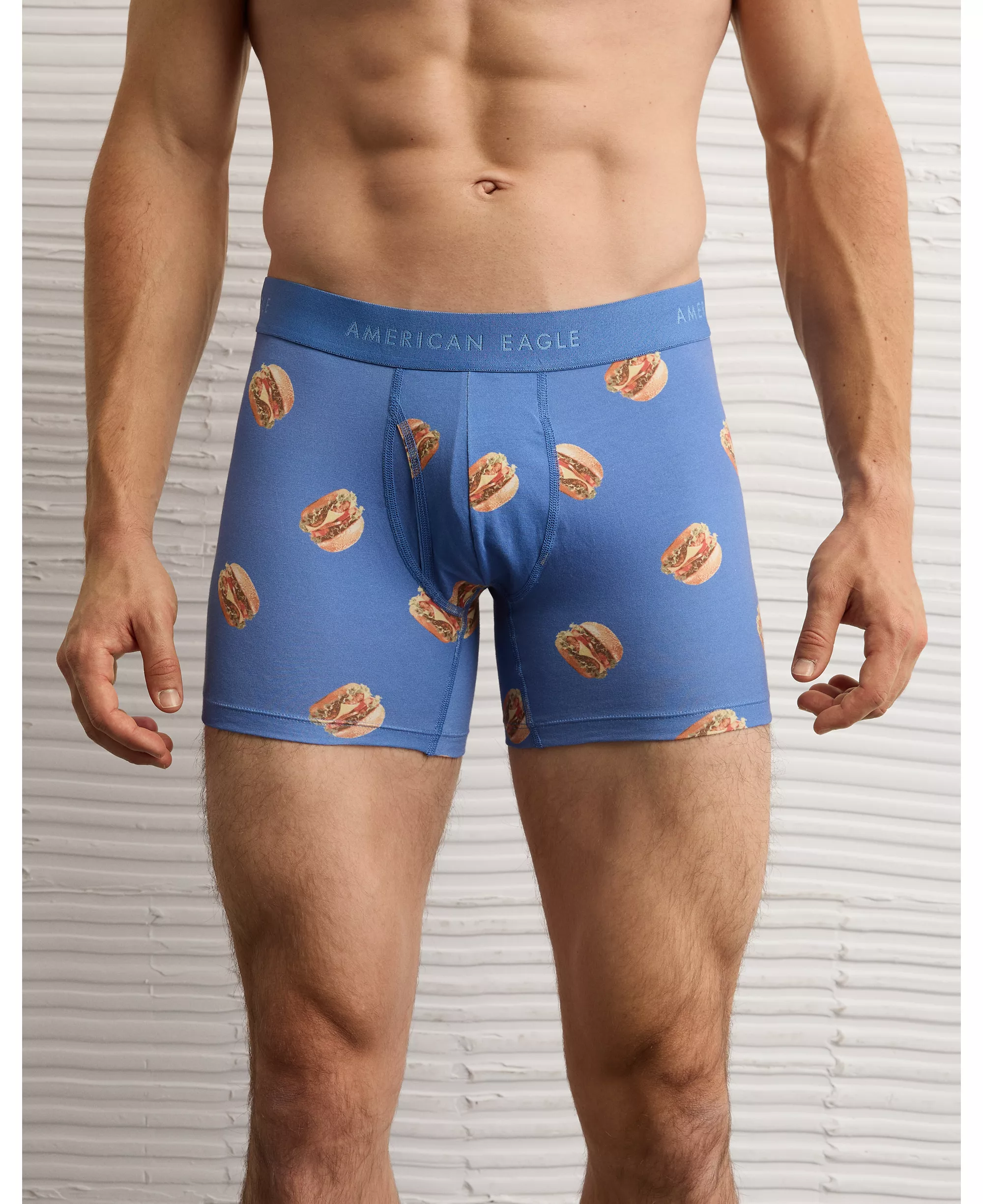 Aeo Men's Hamburger 4.5" Classic Boxer Brief
