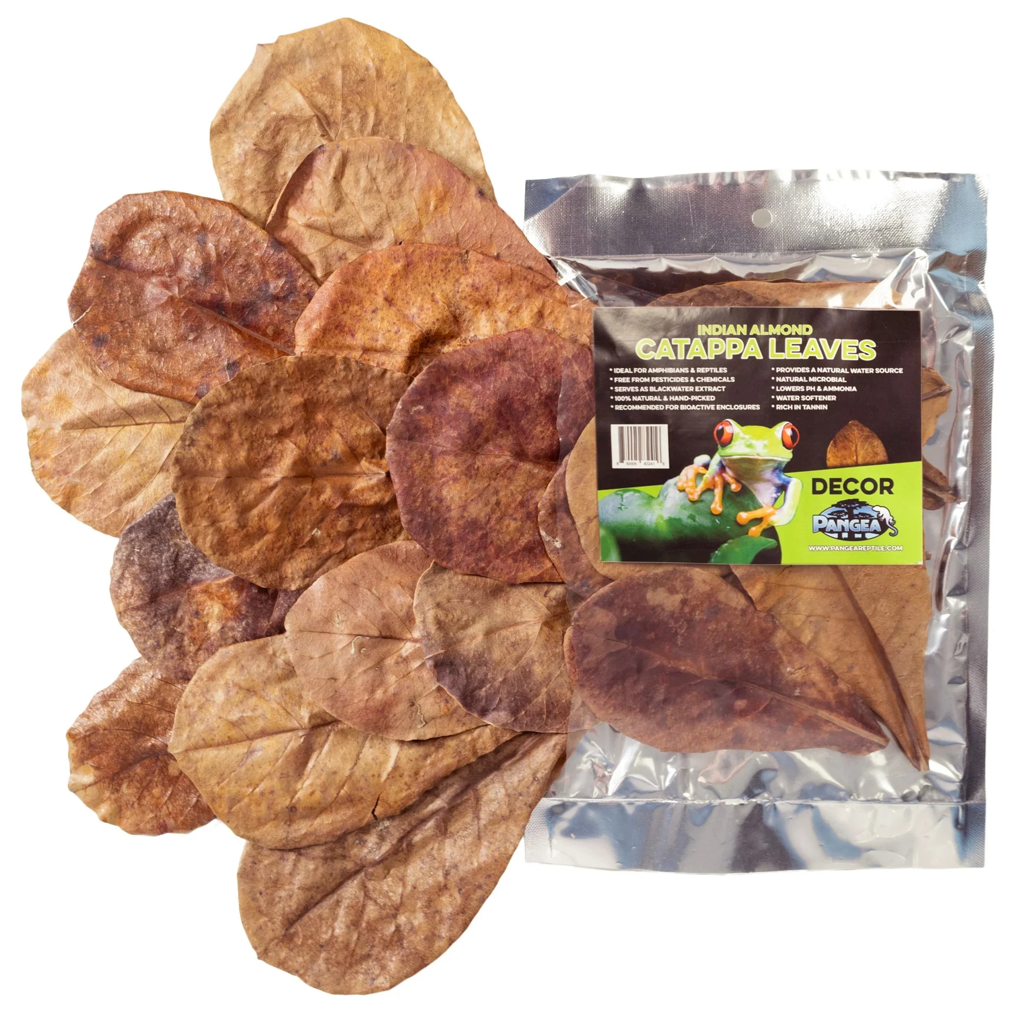 Pangea Leaf Litter Decor - Catappa Leaves