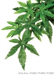 Exo Terra Silk Plant Small Abutilon Pt3032