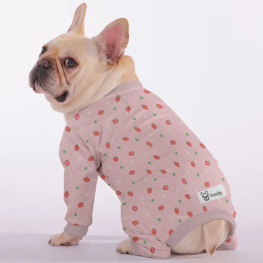 Bella - Frenchie Pajama - 4xl
