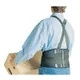 Sas Safety 7163 Deluxe Back Support - L