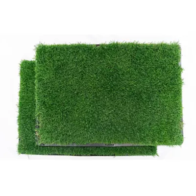Gotta Go Grass Real Grass Pet Potty Pad Reptile Grass Pad Refill 2 Pk
