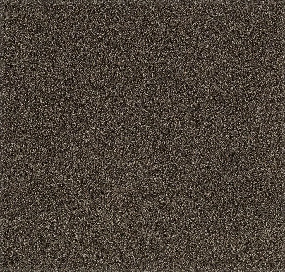 Tranquil Shades Carpet Sample