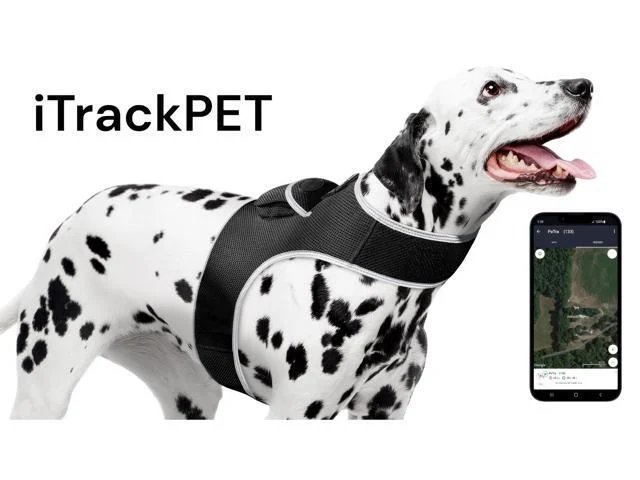 Gprs Gsm Gps Pet Finder Waterproof Collar Tracking Device W/ Phone App Size:xxl