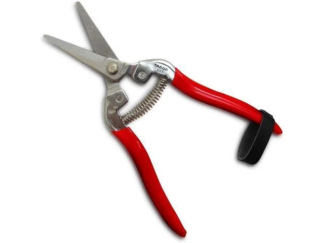 Tabor Tools Pruning Shears, Florist Scissors, Multi-tasking Garden Snips For Arranging Flowers, Trimming Plants And Harvesting Herbs, Fruits Or Vegetables. K17a. (straight, Stainless Steel Blades)