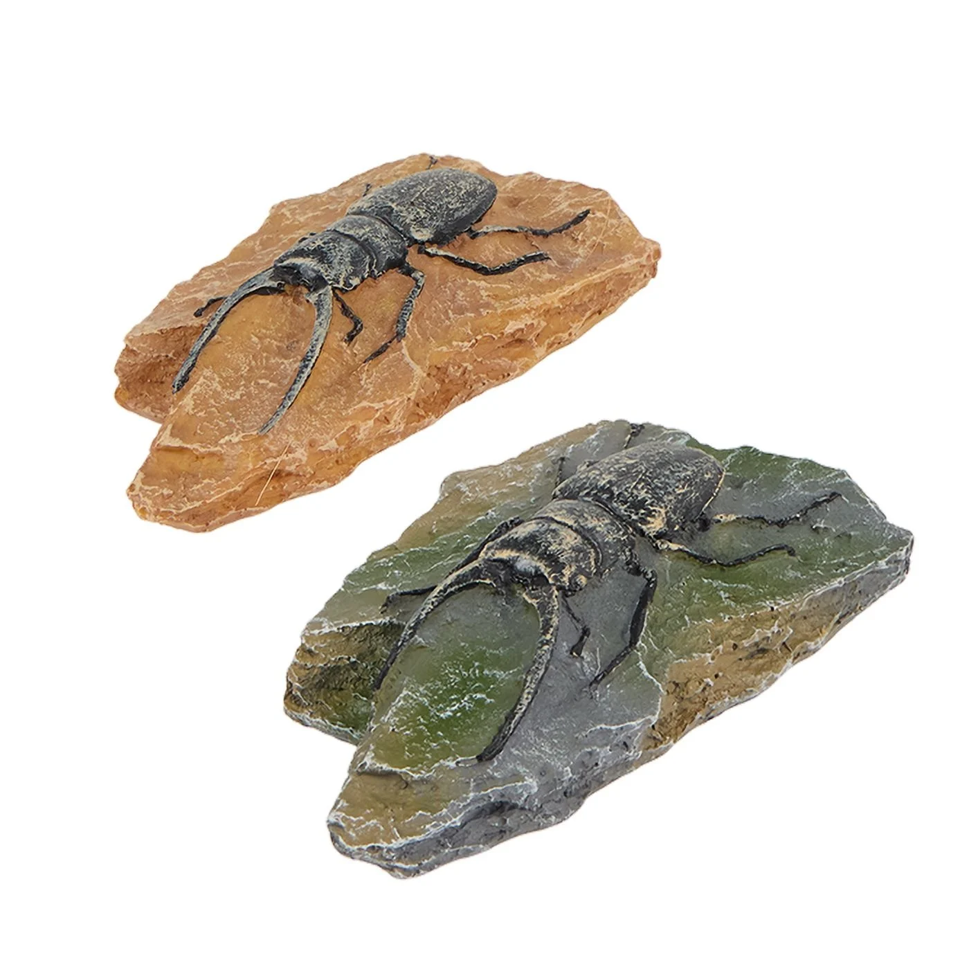 Beetle Habitat Décor