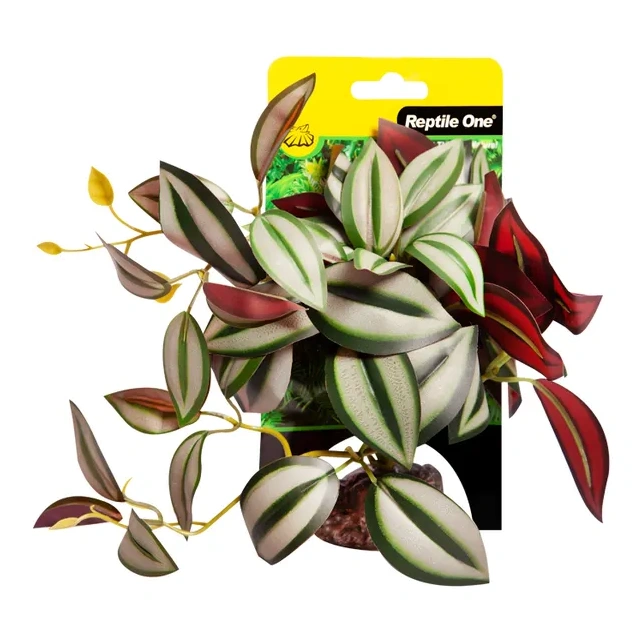 Reptile One Tradescantia Ceramic Base Plant – Green/silver M