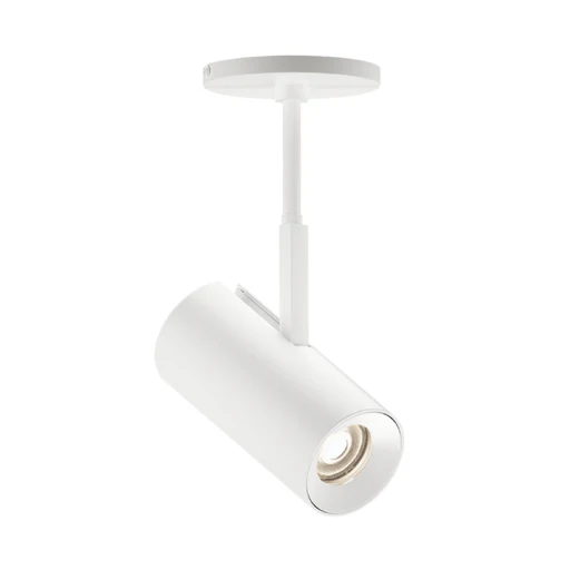 Bruck Lx Pro 3" 22w 1590 Lm, Tunable White Luminus Led Monopoint With 24" Stem
