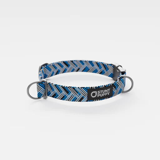 Carolina Panthers Everyday Collar